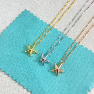 Tiffany Star Necklace
